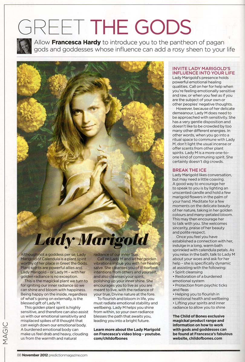 Prediction Magazine Article